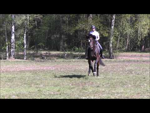 Da Costa - April 2020