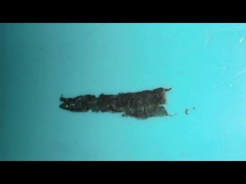 Filthy fast-food play areas