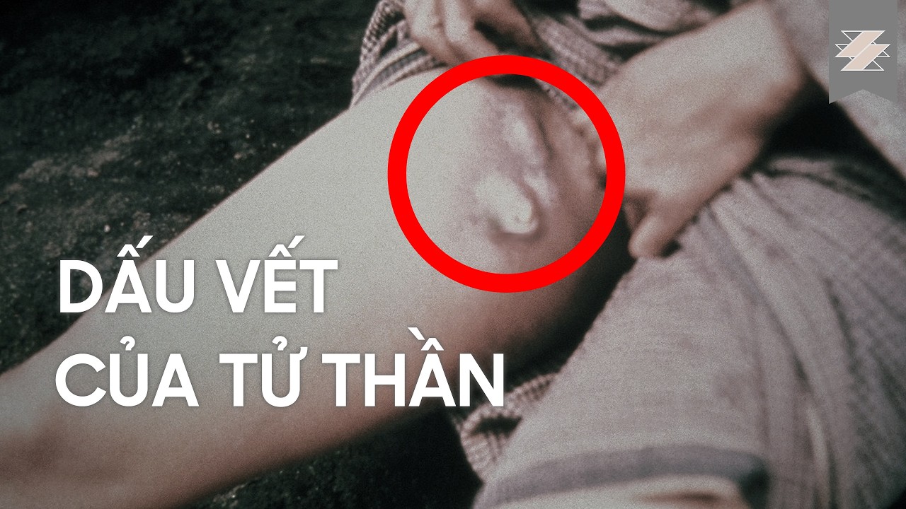 Khi loài người GẦN TUYỆT CHỦNG | SAMURICE [SUB]