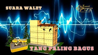 Download lagu Suara Burung Walet Panggil Tarik Inap Terbaik II SUARA PANGGIL BURUNG WALET mp3