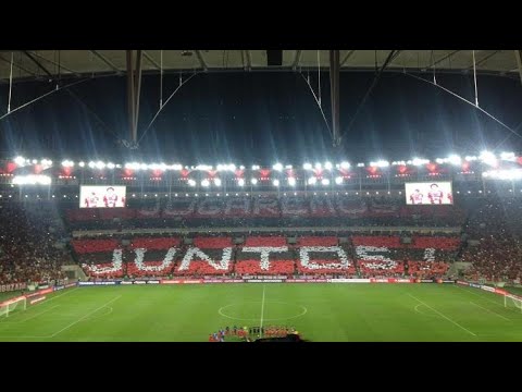 Flamengo 2 x 0 Emelec (31/07/2019) Jogo completo