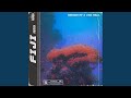 Fiji (Remix)