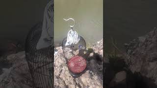 Download lagu Sogon materi ziper sambung brem ciblek mp3 Download lagu Sogon materi ziper sambung brem ciblek mp3