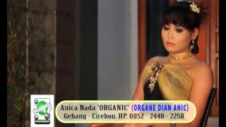 Download lagu TARLING DIAN ANIC 2013 - GAPLEK BIYEK mp3