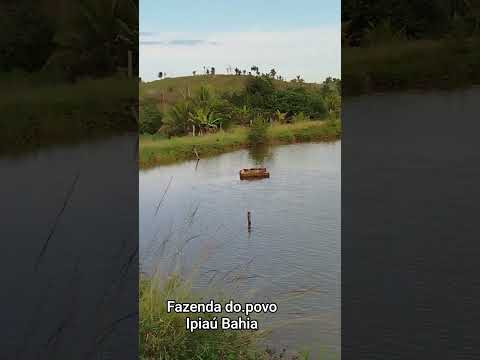 10 de março de 2026