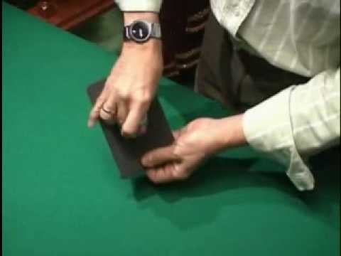 The Portal by Steve Shufton, David Regal