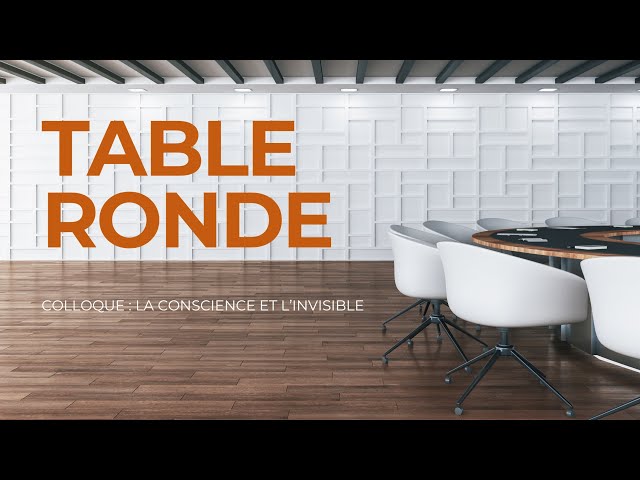  Table rondeTable ronde avec l’ensemble des intervenants animée par  Jocelin Morisson avec des questions du public.