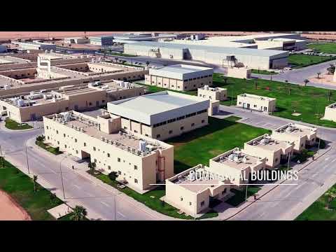 Golden Chicken Factory | Halsco | #project