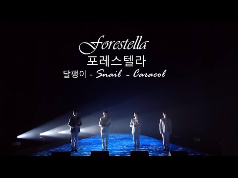 SNAIL - ' 달팽이'  - Forestella  -포레스텔라- Subtitulos en Español - English & Portuguese