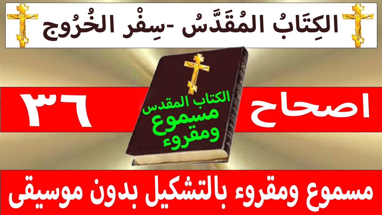 فيديو تفسير الكتاب المقدس | الكتاب المقدس رفيقي