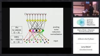 Seminar 1: Larry Abbott - Mind in the Fly Brain