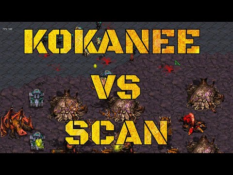 Starcraft Cast#329 - A beautiful ZvT Fight with Scan and Kokanee!