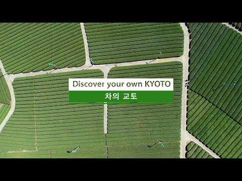 Discover your own KYOTO | 차의 교토| 2min | 한국어 버전