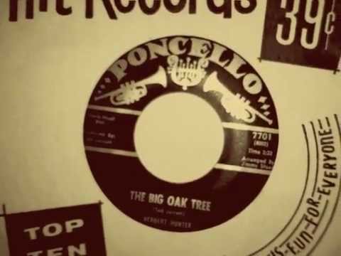 HERBERT HUNTER - The Big Oak Tree - PONCELLO