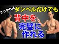 自宅トレーニングではダンベルだけ?懸垂もできない?それでも背中をダンベルだけで完璧に作り上げる!広背筋、大円筋、僧帽筋、脊柱起立筋、筋肉
