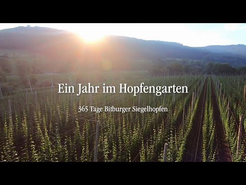 Ein Jahr im Hopfengarten - 365 Tage Bitburger Siegelhopfen