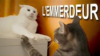 060 L'EMMERDEUR