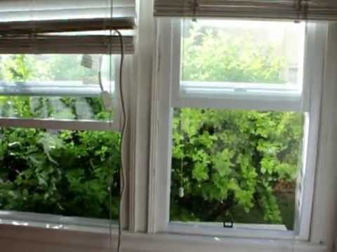 PL3517 - MIRACLE MILE Apartment for Rent