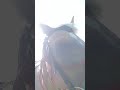 Selfies With Spirit Oneeyedpony Selfies