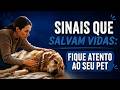 🐶🐾🤍😺 3 Video thumbnail