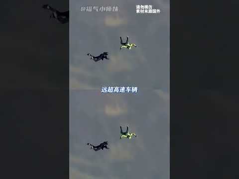 7620米无伞落网跳伞 永远无法想象人类的潜能有多大 #跳伞 #红牛 #刺激 #极限运动