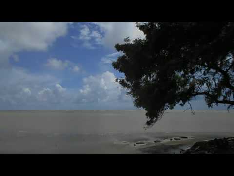 Chandipur Sea Beach and Buribalam Mohona and inside Panthanivas Estuary of Budhabalanga River Odisha