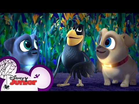 萬聖節快樂，來自Bingo和Rolly？| 小狗朋友們｜迪斯尼兒童樂園 (Happy Halloween from Bingo and Rolly ? | Puppy Dog Pals | Disney Junior)