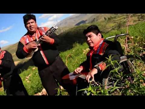 TAYAMBA -  LA LECHUZA