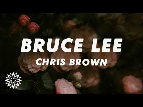 Chris Brown - Bruce Lee (Lyrics)