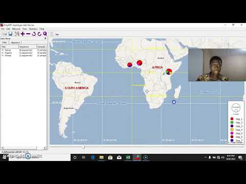 Constructing Haplotype Network