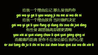 黄丽玲 (Huang Li Ling / A-Lin) - 给我一个理由忘记 (Simplified Chinese/ Pinyin Lyrics HD)