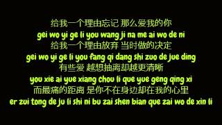 Download 黄丽玲 (Huang Li Ling / A-Lin) - 给我一个理由忘记 (Simplified Chinese/ Pinyin Lyrics HD) Mp3