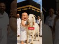 2 Year Old Baby Boy Recites Labbaik At The Kaaba Cutest Hajj Forever Hajj2025