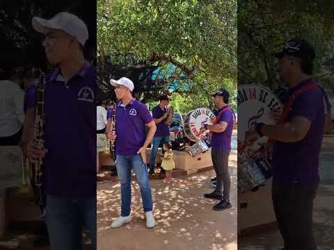 Banda 14 De Septiembre De La Unión Sucre #tradicionesdemipueblonatal #bandatradicional #cultura