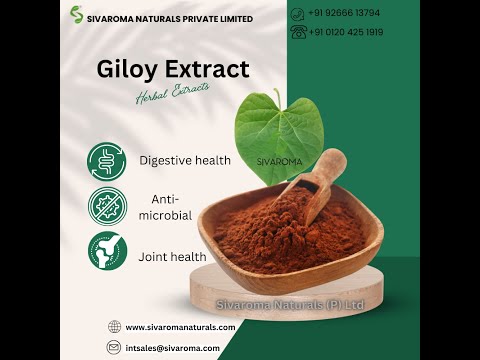 Giloy Extract Powder