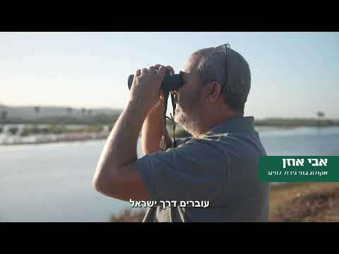פרויקט שיקום שמורות הדיפלה - שימור טבע ישראלי נפלא
