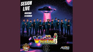 Rosalia (Live)