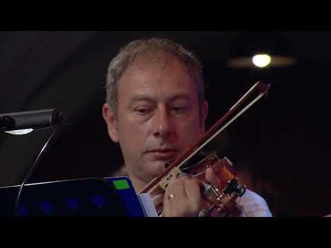 ĐANI MARŠAN - L´TE VURRIA VASA (LIVE ŠIBENIK 2018)