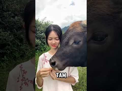 Fadime Muzu Gizlice Yedi…😱 Şakir Yakalayınca Olay KOPTU!😂