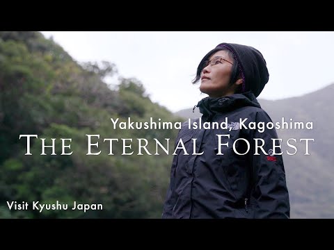 Eternal Forest（Short ver.）