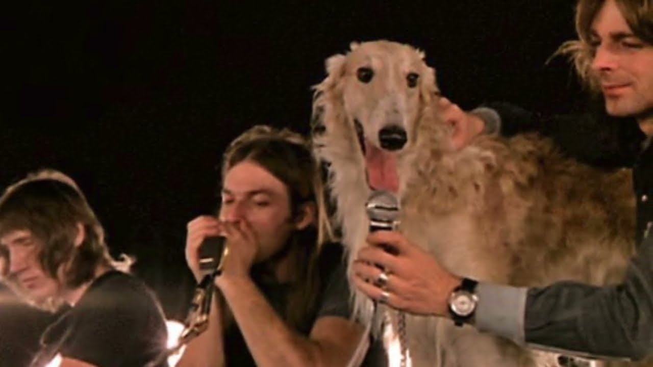 Pink Floyd - Dogs