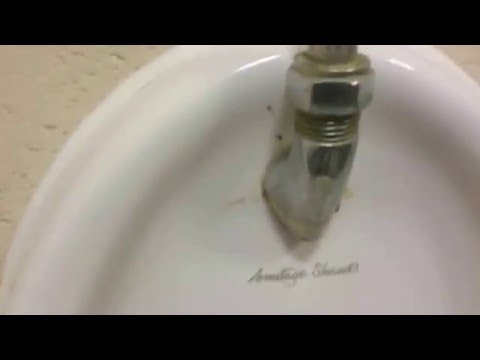 Reshoot: LL Ideal Standard Tiara X4