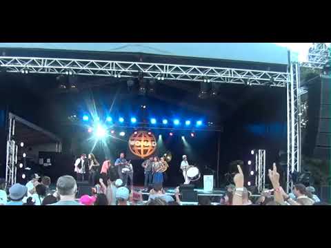 Niko Ne Zna at WOMAD NZ 2019