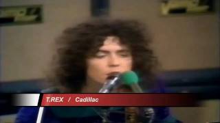 T.Rex  " Cadillac "