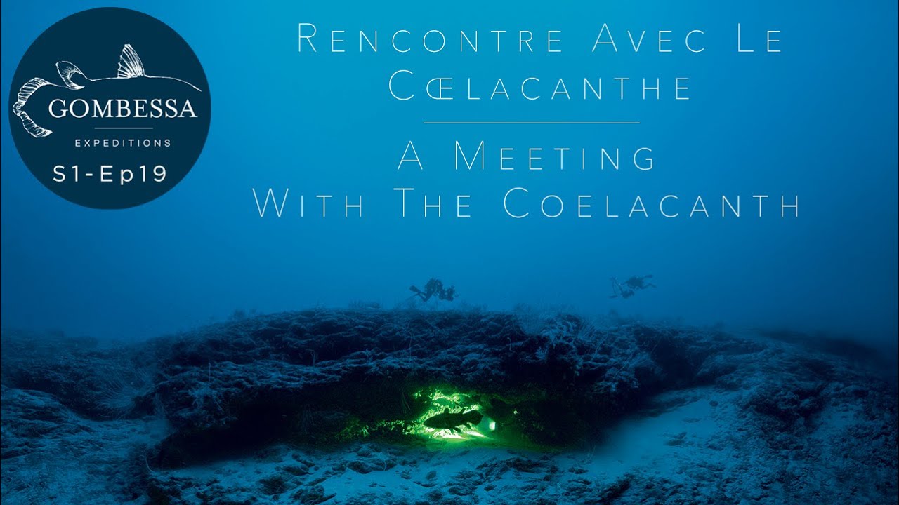 Gombessa I - Rencontre avec le Coelacanthe - Ep19