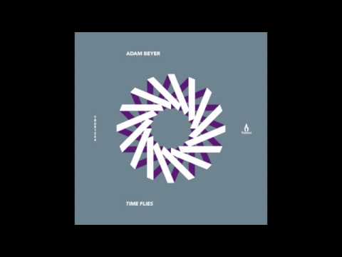 Adam Beyer - Time Flies (Tiger Stripes remix) - Truesoul - TRUE1264