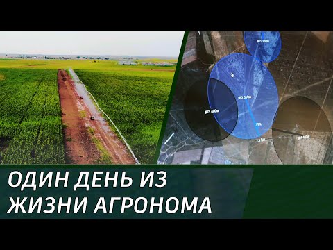 One day in the life of agronomist Vladimir Gurenko, JV Irrigated