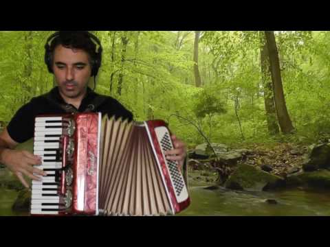 Timbre De Galo - Clóvis Mendes