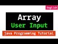 Array User Input using For Loop | Java Programming Tutorial