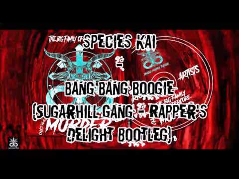 species Kai - Bang Bang Boogie (Sugarhill Gang - Rapper's Delight Bootleg) [DMT001]